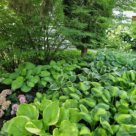 Apartman Panoramic Balatonvilágos