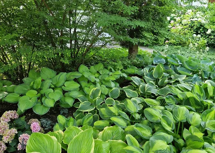 公寓 Panoramic Balatonvilágos